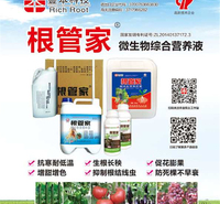 微生物菌肥批发 山东丰本根管家 提高土壤肥力
